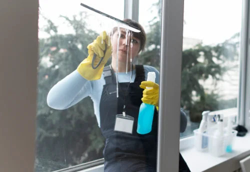Nettoyage de vitres intérieures et extérieures à Lamontjoie